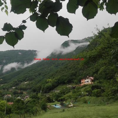 Bassanonet.it A.A.A. territorio cercasi