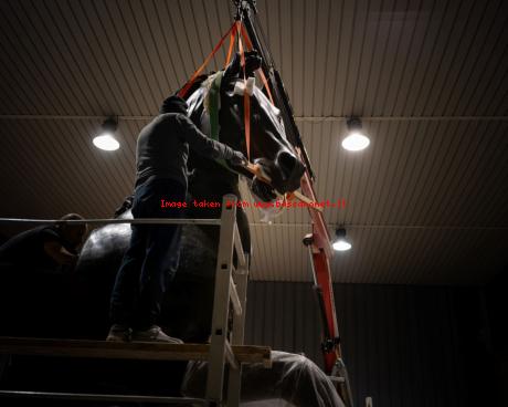 Bassanonet.it Il colosso di Bassano