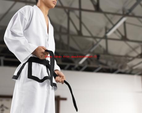 Bassanonet.it Karate, Bassano capitale per un giorno