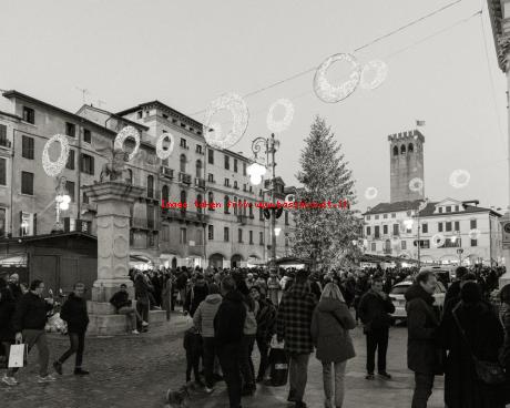 Bassanonet.it Buon Natale ai nostri lettori