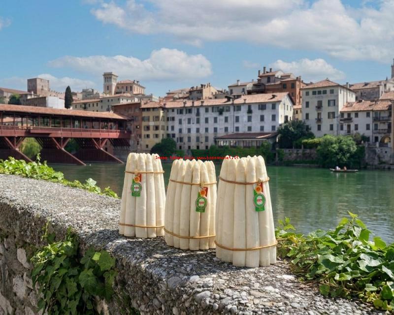 Bassanonet.it “Salvate il soldato Asparago”