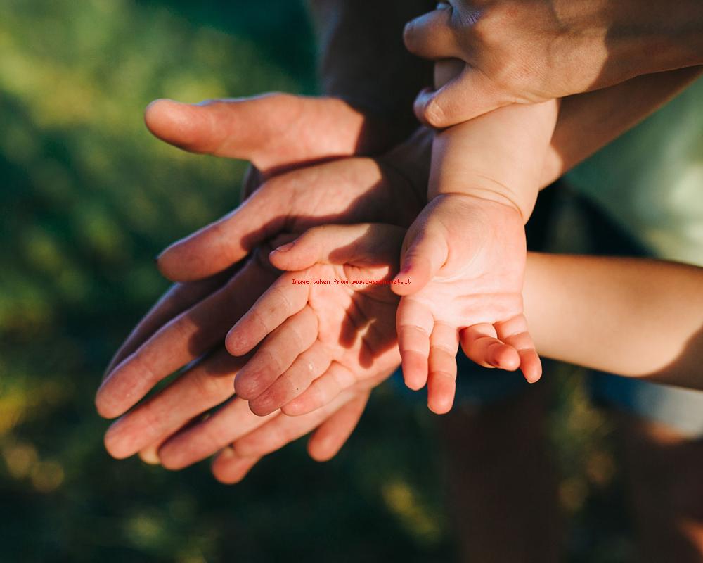 Bassanonet.it La forza gentile che educa alla libertà