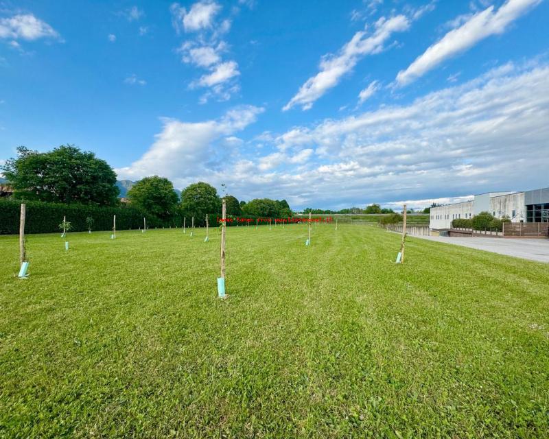 Bassanonet.it F.lli Campagnolo realizza il suo Parco per le Api